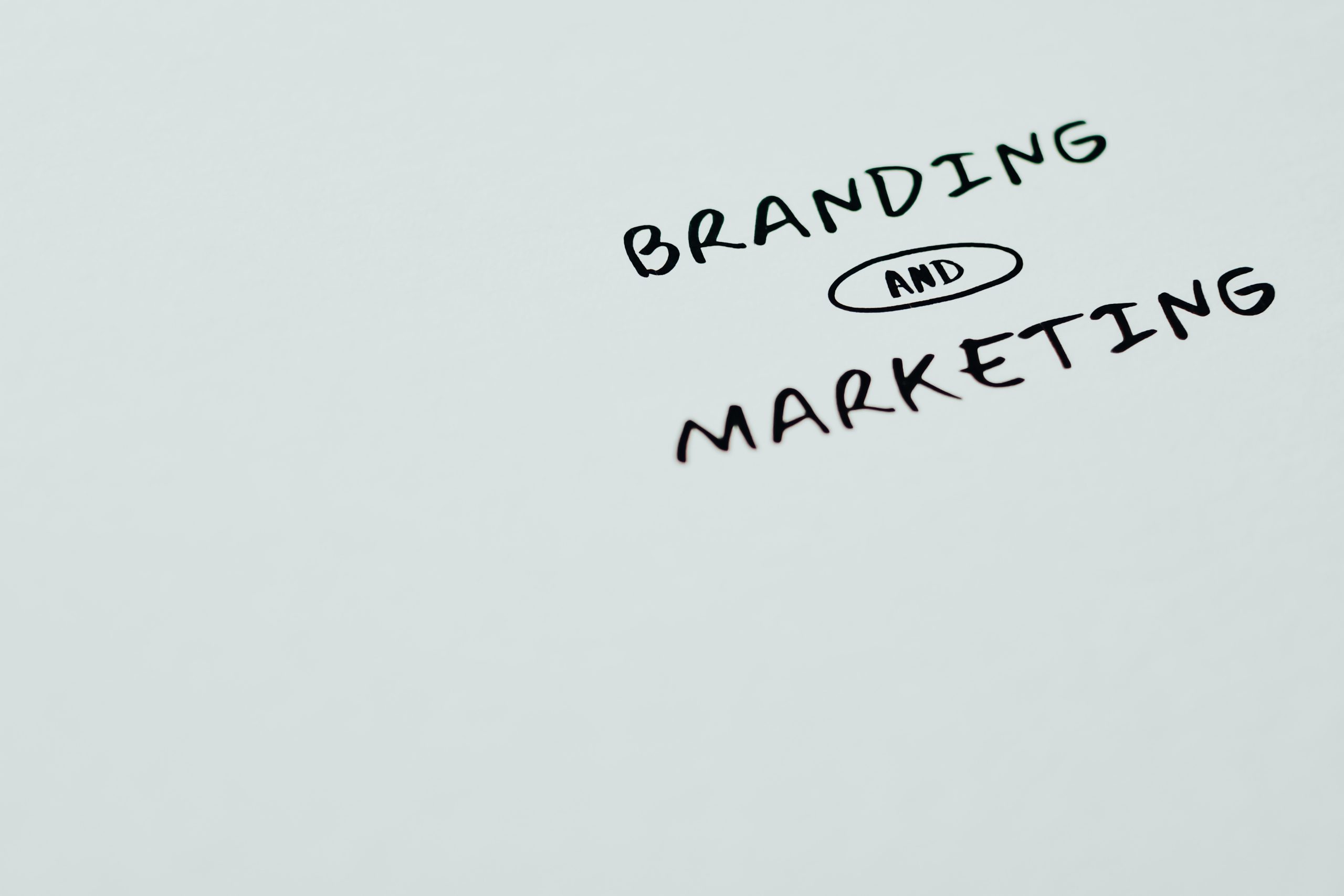 You are currently viewing Need Of Branding For Social Entrepreneurship Companies
